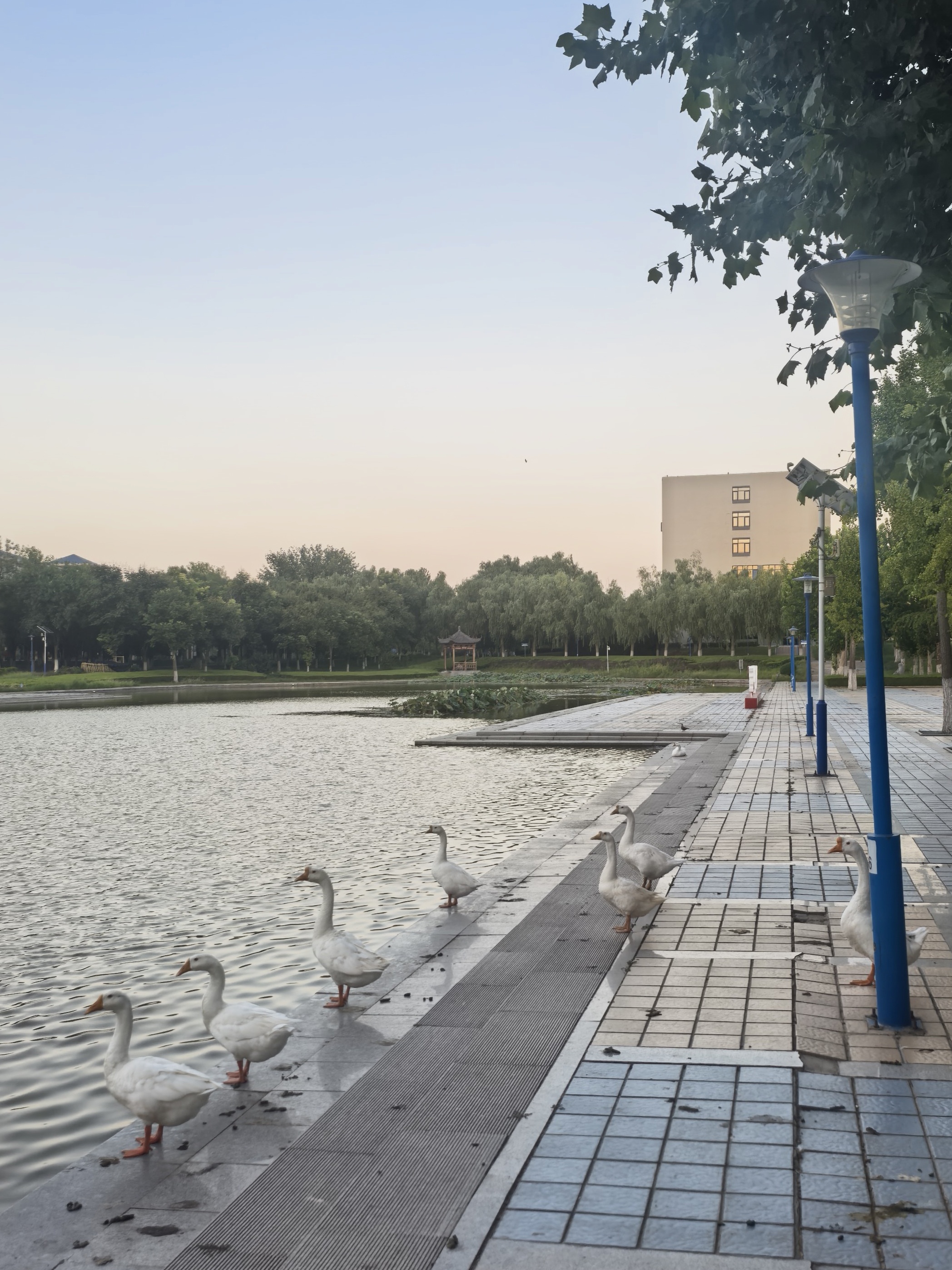 全员复制粘贴 严肃感受完美天气🫡 