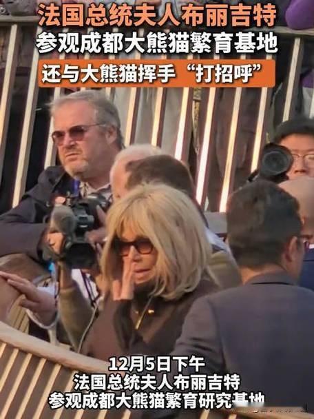 哇塞！法国总统夫人温柔跟大熊猫打招呼啦

今日，在熊猫馆内出现超温馨一幕！法国总