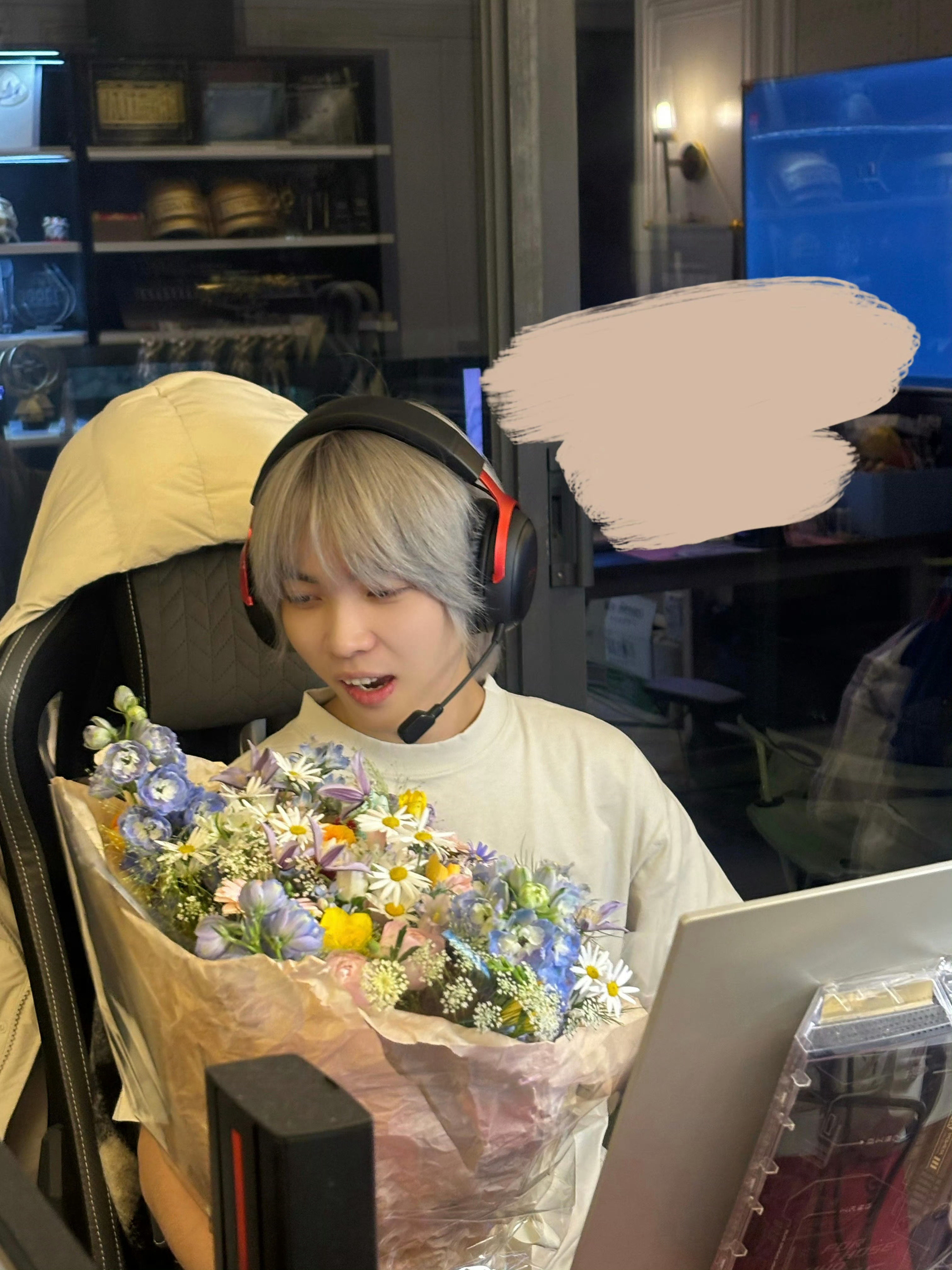 喜欢打游戏的猫  漂亮猫和漂亮花2026pel