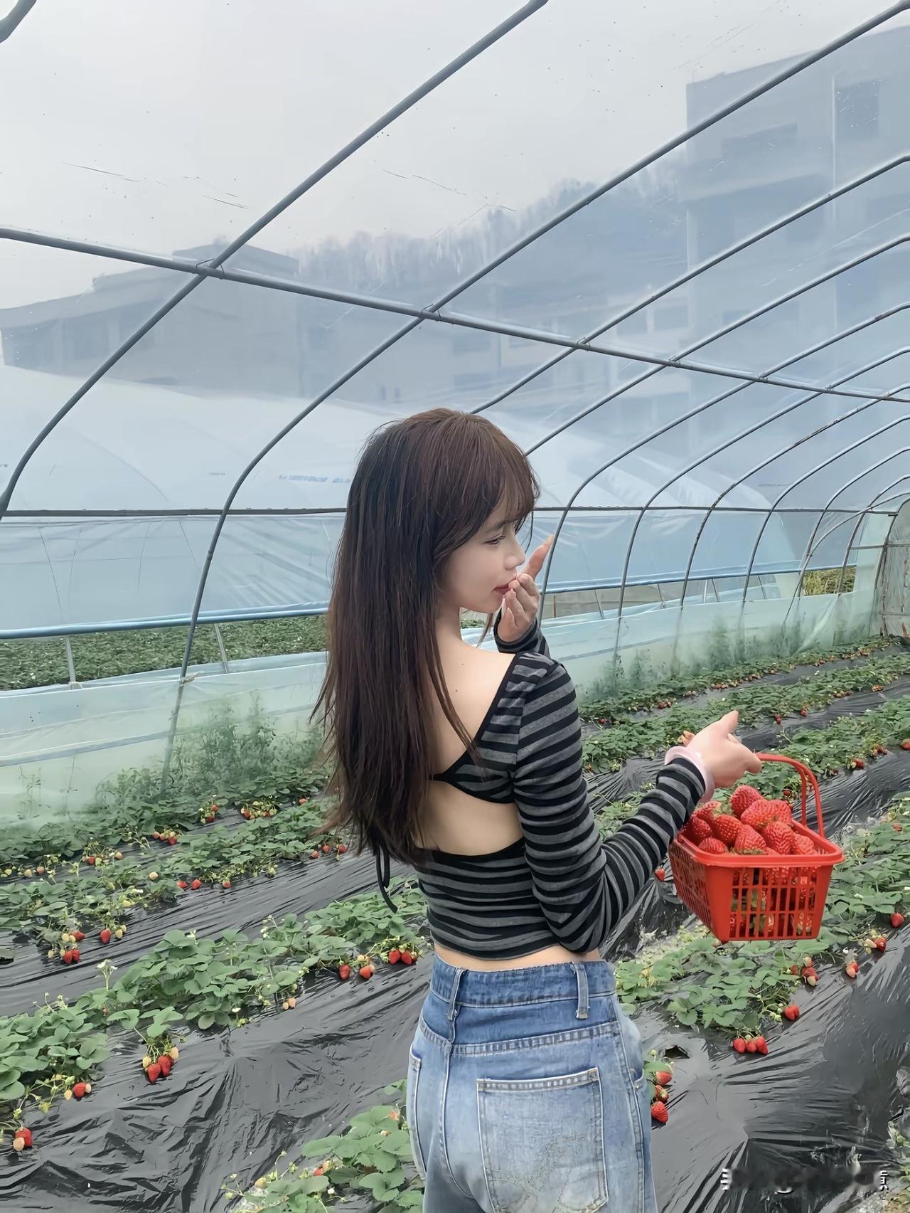接纳一切事物的本来面目
坦然面对所有的事与愿违
健健康康地生活
平平静静地度日