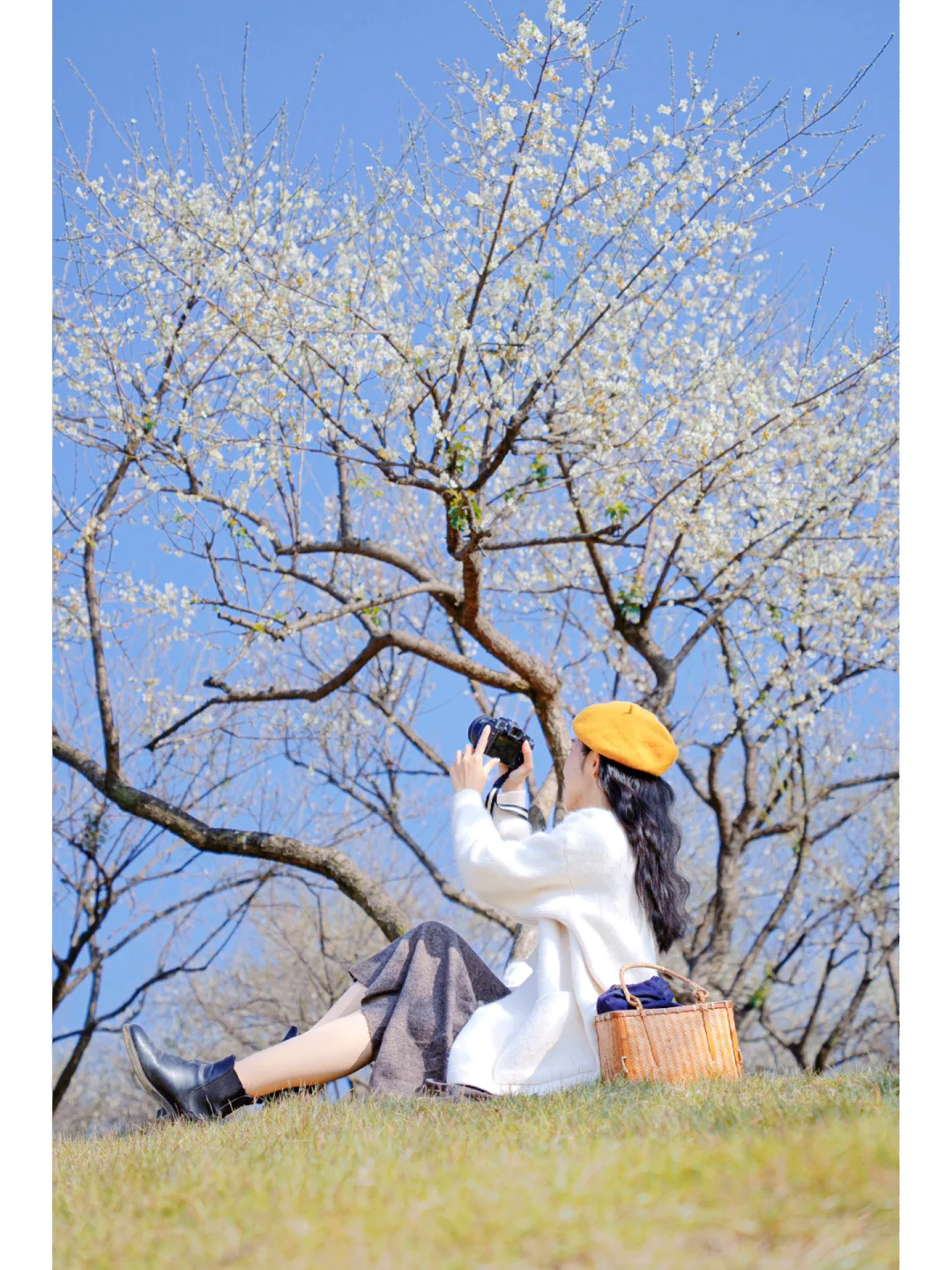 广州“雪景”❄梅花绽放🚇地铁直达的白色浪漫