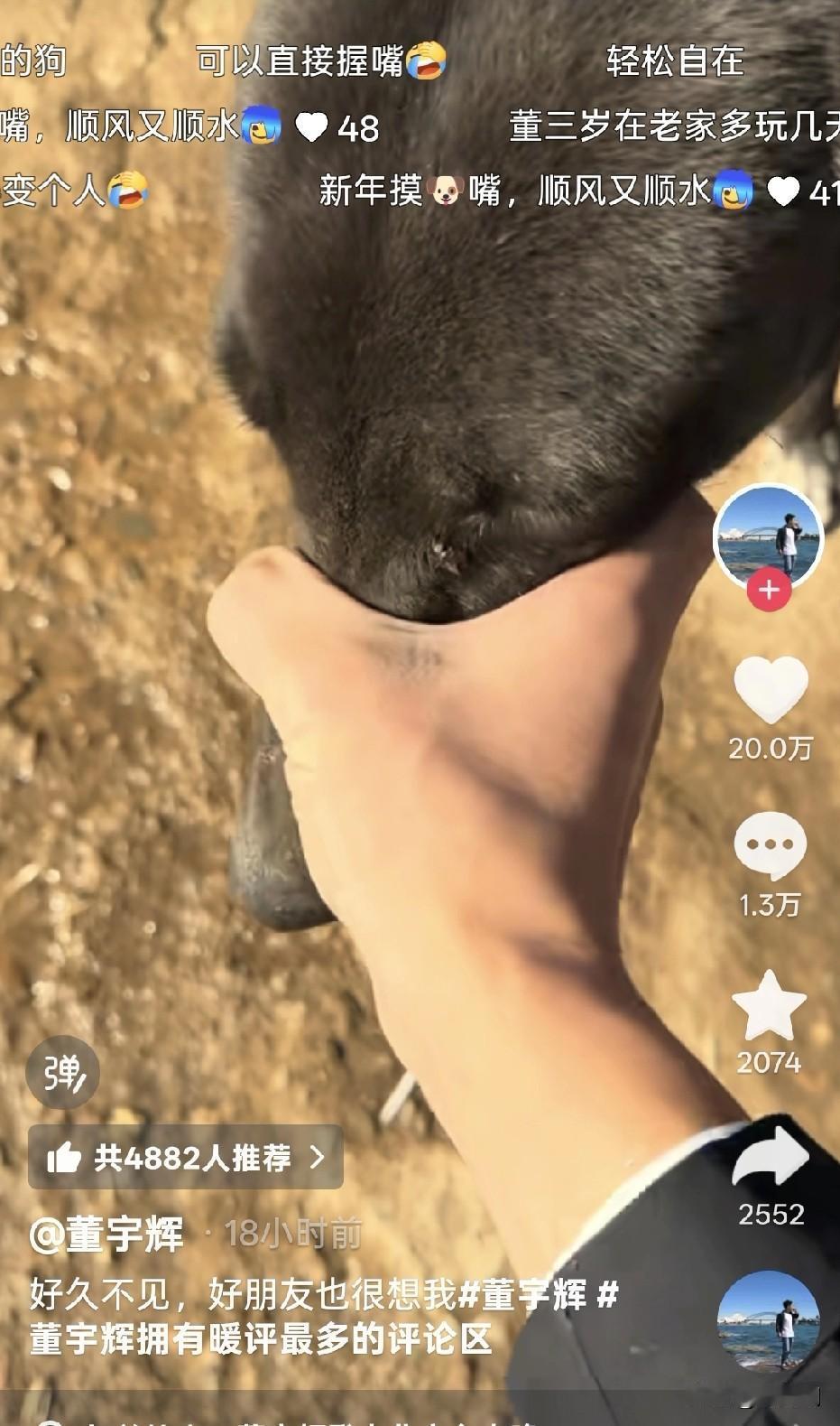 网友这解读能力直接拉满
董宇辉：就是逗个小狗，很治愈。
网友：不，这是在封印黑粉