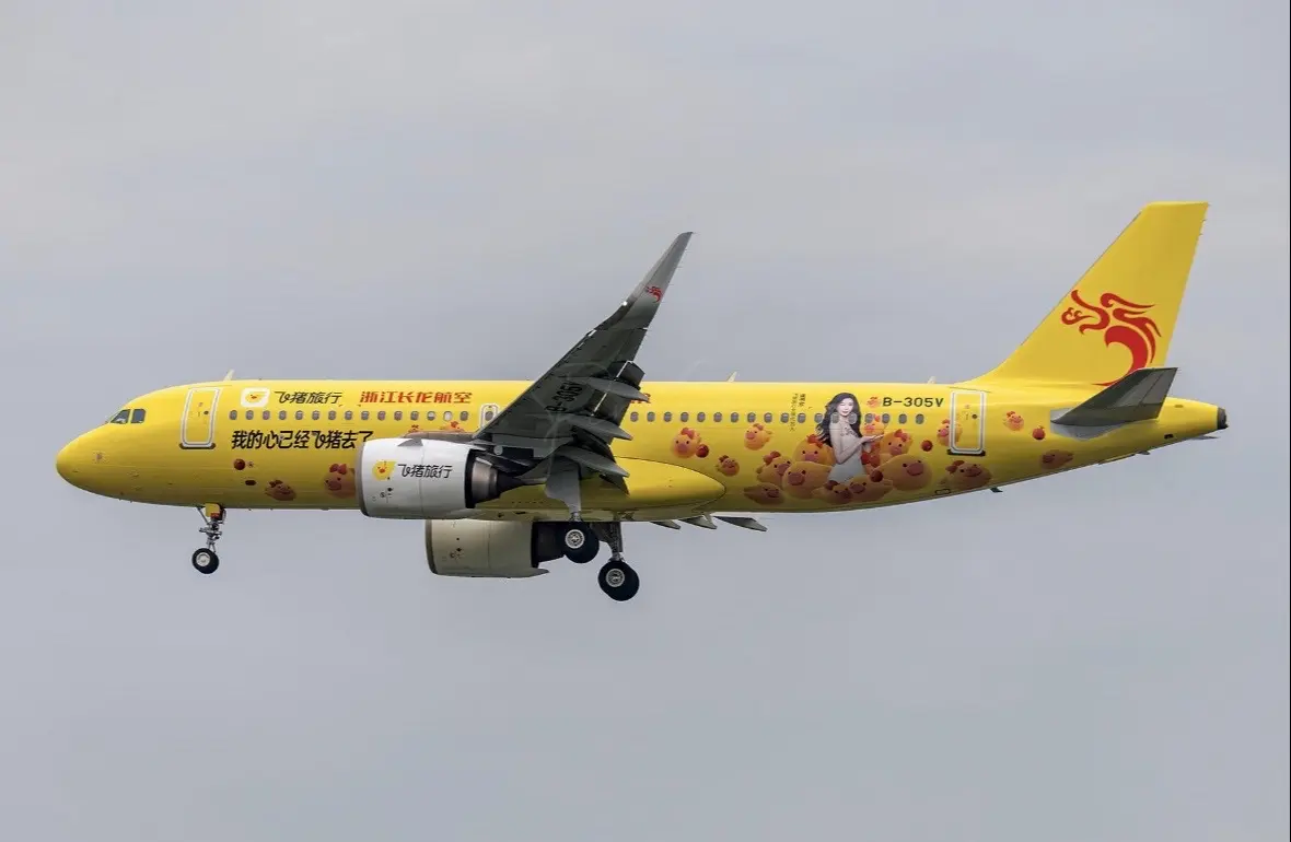 舒心旅行，快乐出发，我的欣已经飞猪去咯。