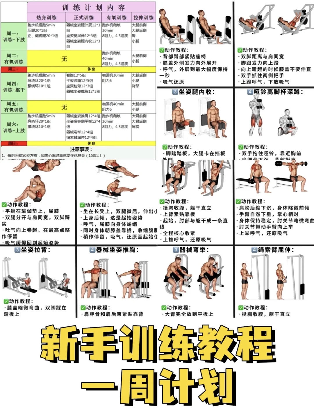 健身房计划教程！适合新手小白，懒人训练计划