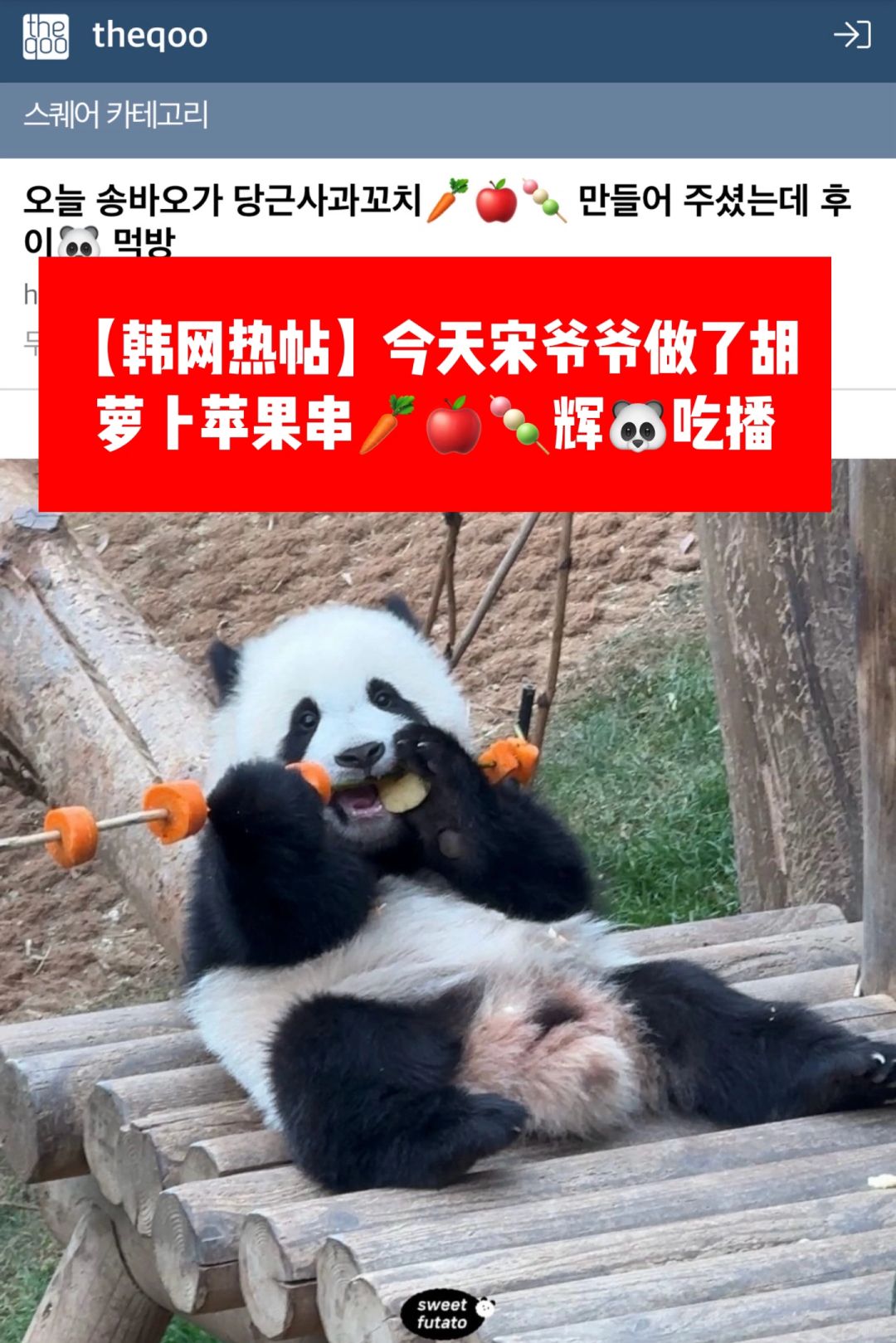 🔥热帖｜宋爷爷做了胡萝卜苹果串辉宝🐼吃播