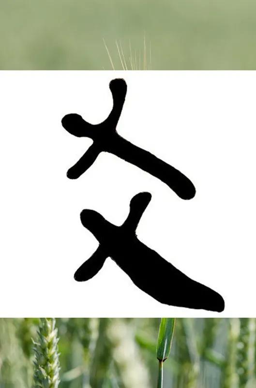 爻（yao）这个字是生僻字，读（yao）,在易经里面是相交的意思。天地相交生下万