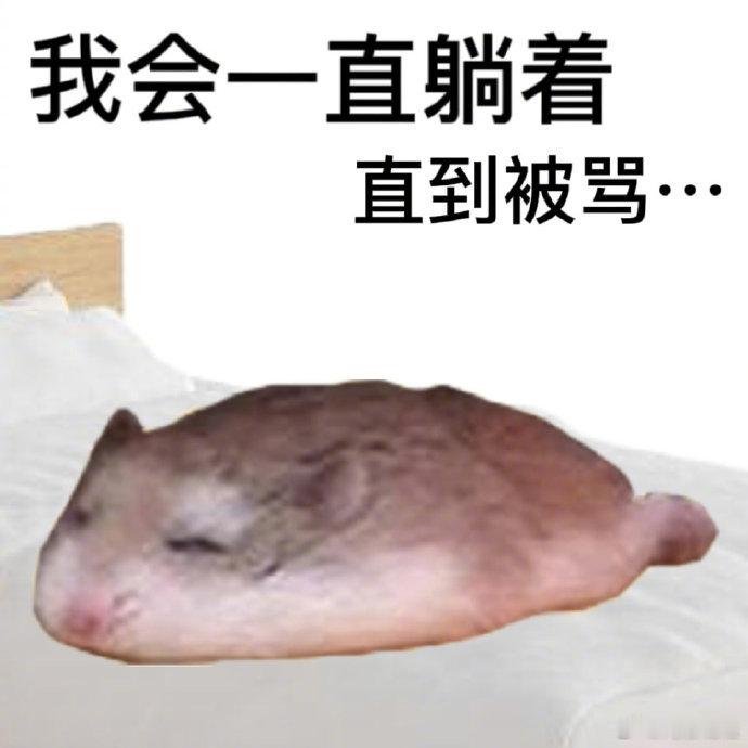 想念假期的第一天[泪] ​​​