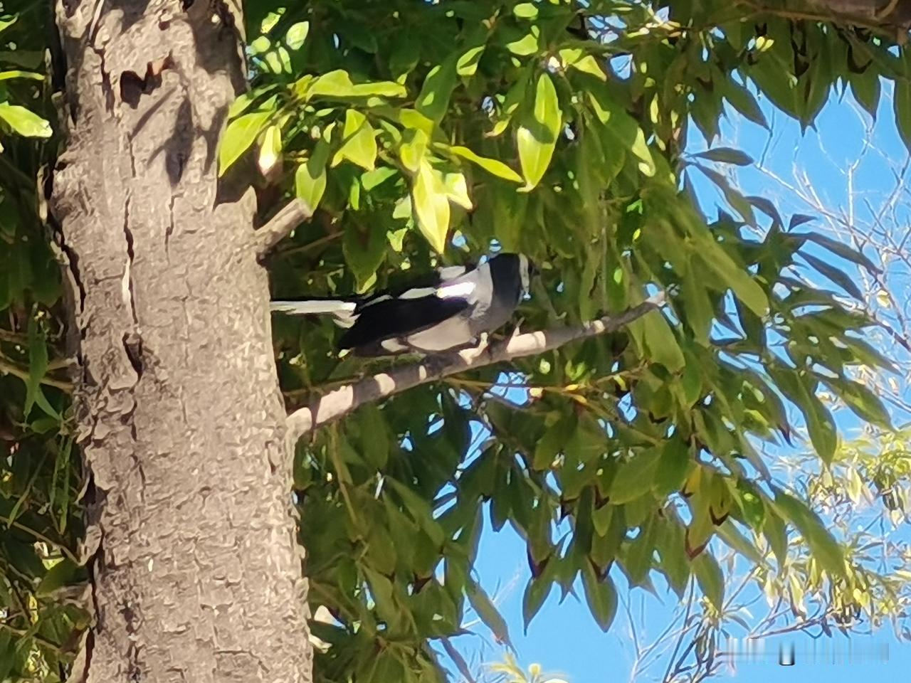冬日生活打卡季抓拍