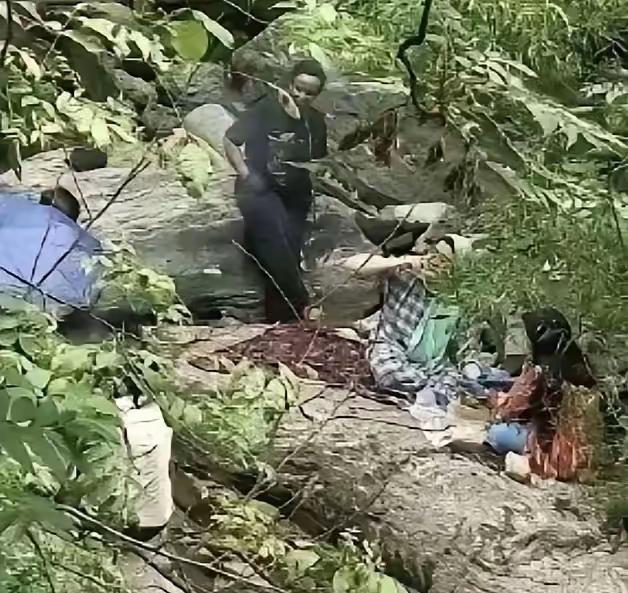 这些印度人在秦岭野炊的行为终于得到了有关部门的关注，使得他们受到了教训。所以对待
