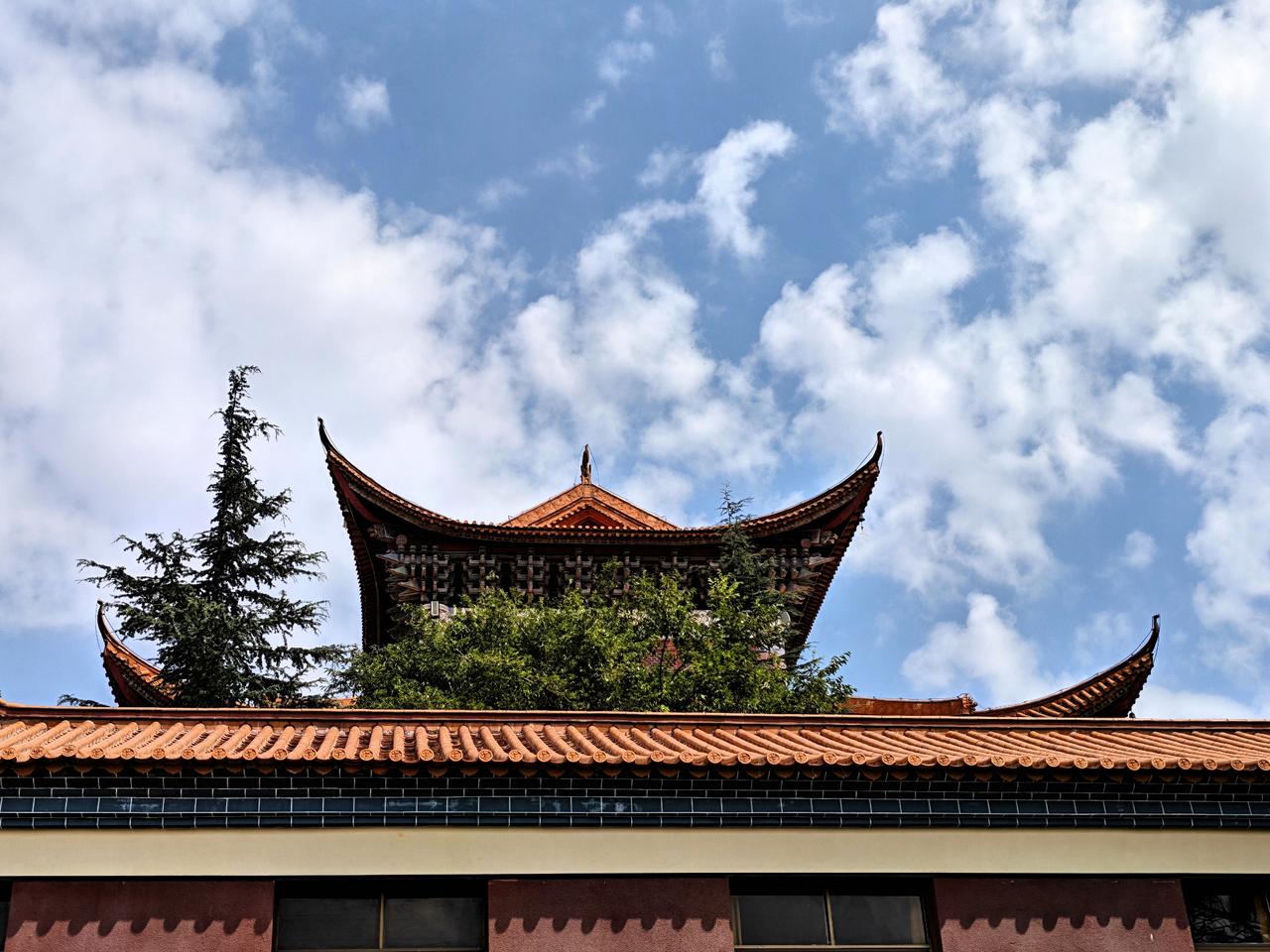 十天前，我们几位在云南旅居的老年朋友结伴出游。同行中有一位朋友说自己感冒了，当时