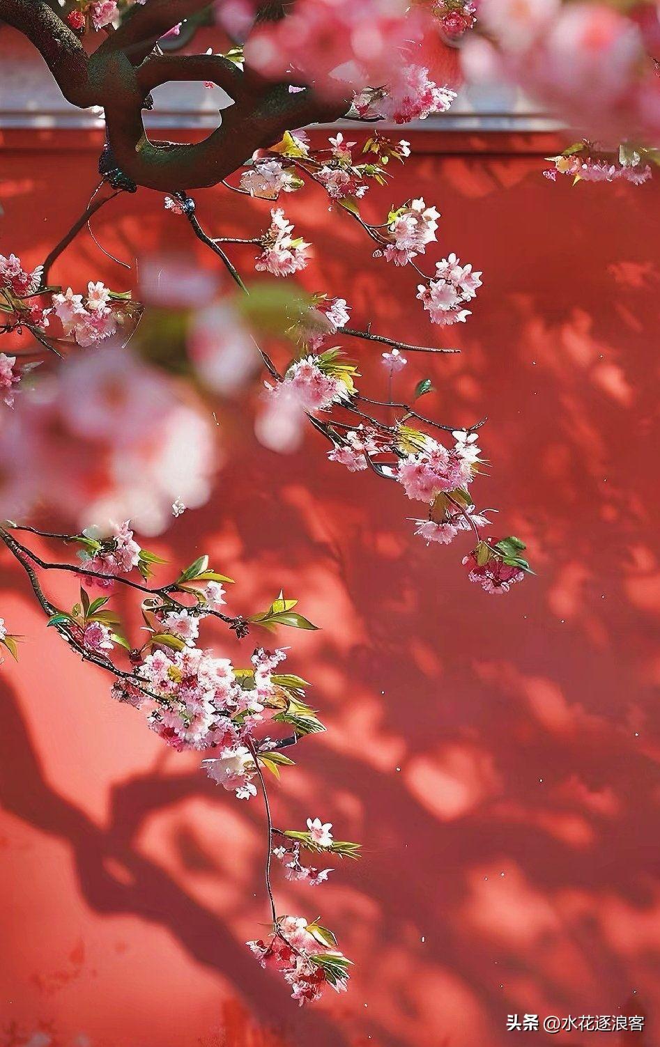 《改造春天》

[微风][微风][微风]
故事从一句宋诗开始
那时，园子还恪守着