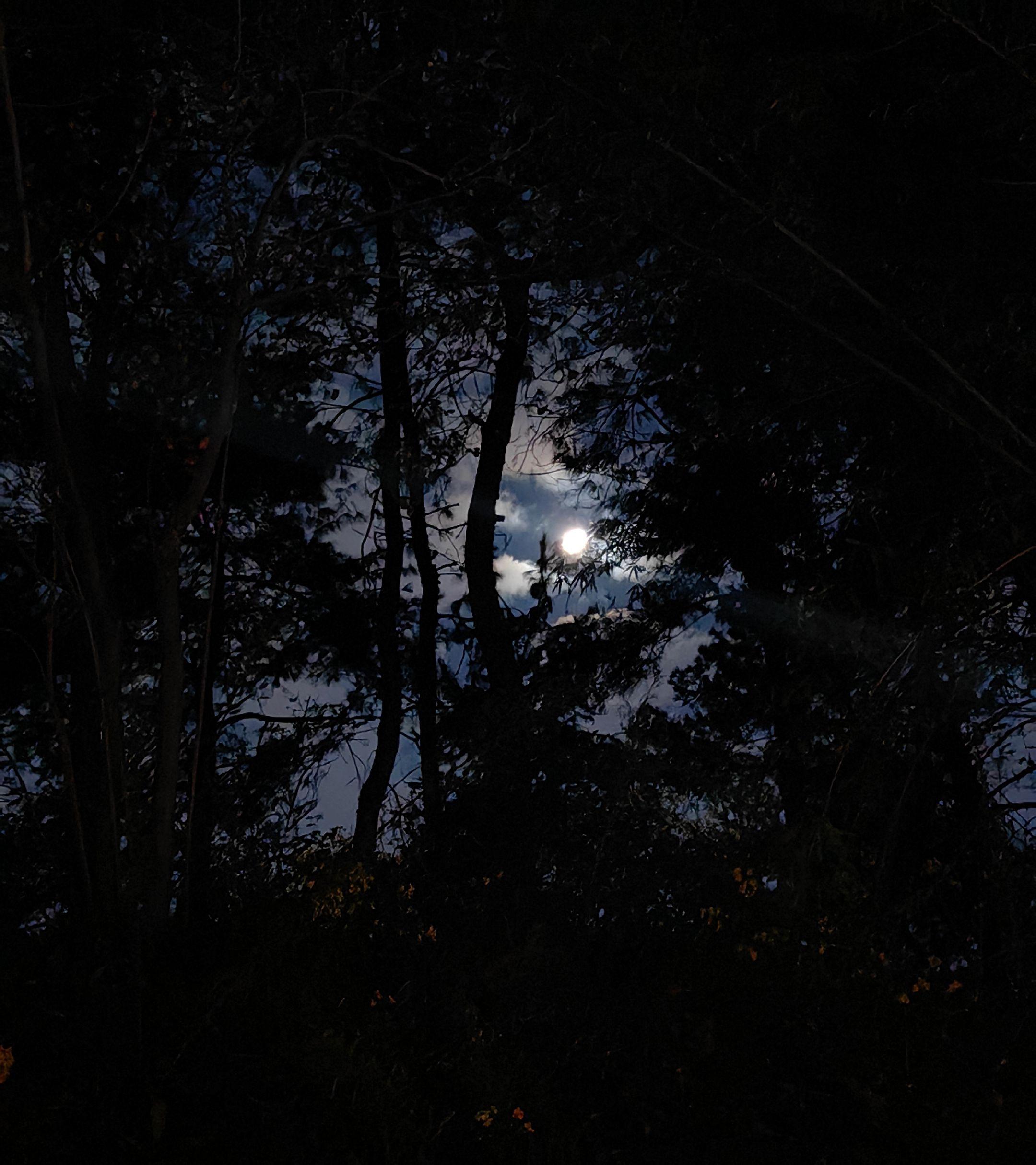 山城步道赋。熊永阳 乙巳初冬，积郁成疾。驱车四百五十公里，特至十堰山城...