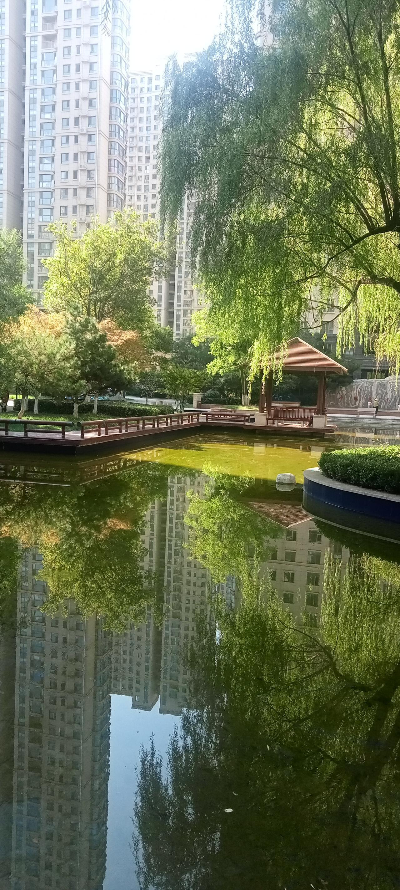 你们住的小区物业社区好不好?我们小区分三期建成，入住近十年了，整体来说还是是不错