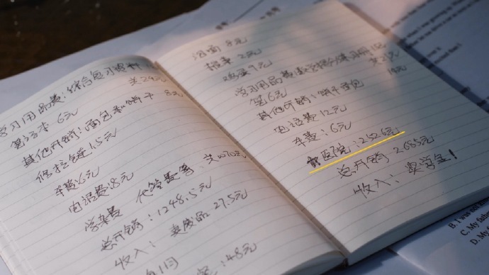 张婧仪野狗骨头点燃我温暖你旁白苗靖的记账本 苗靖的记账本，张婧仪野狗骨头点燃我温