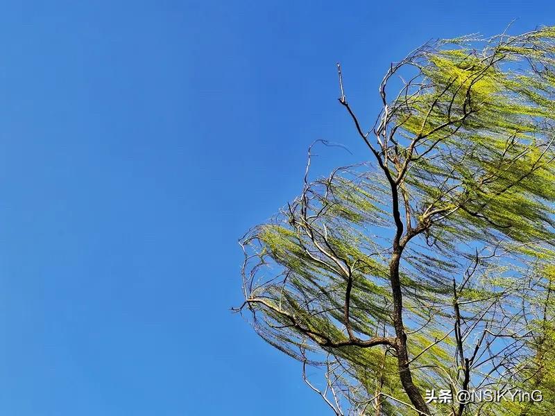 马年春风拂面来，踏青原上赴春约。
且看新绿连天涌，万里生机入壮怀。