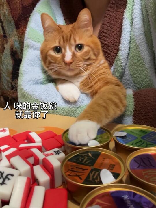 这次 我要夺回不属于我的一切