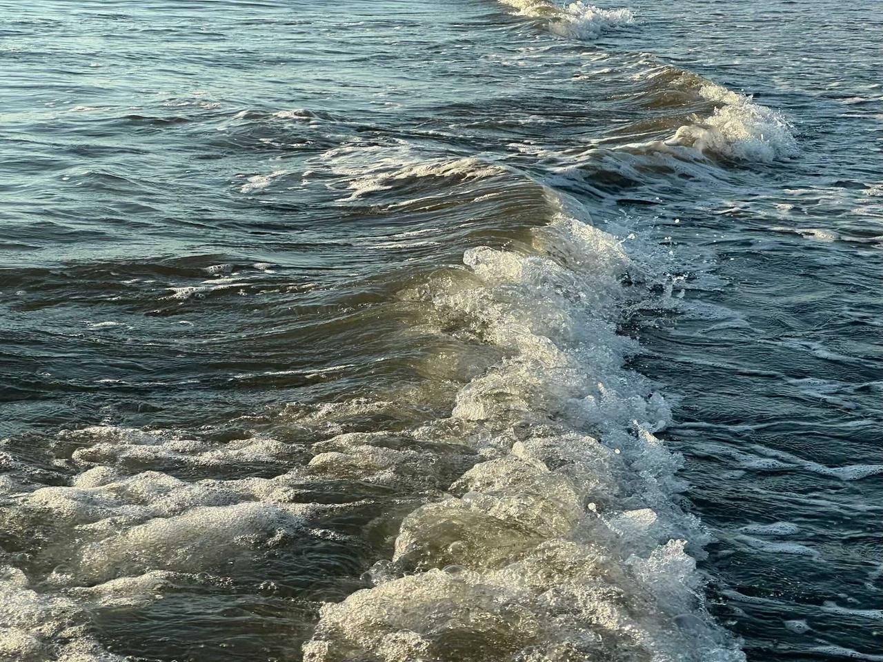 踏浪……