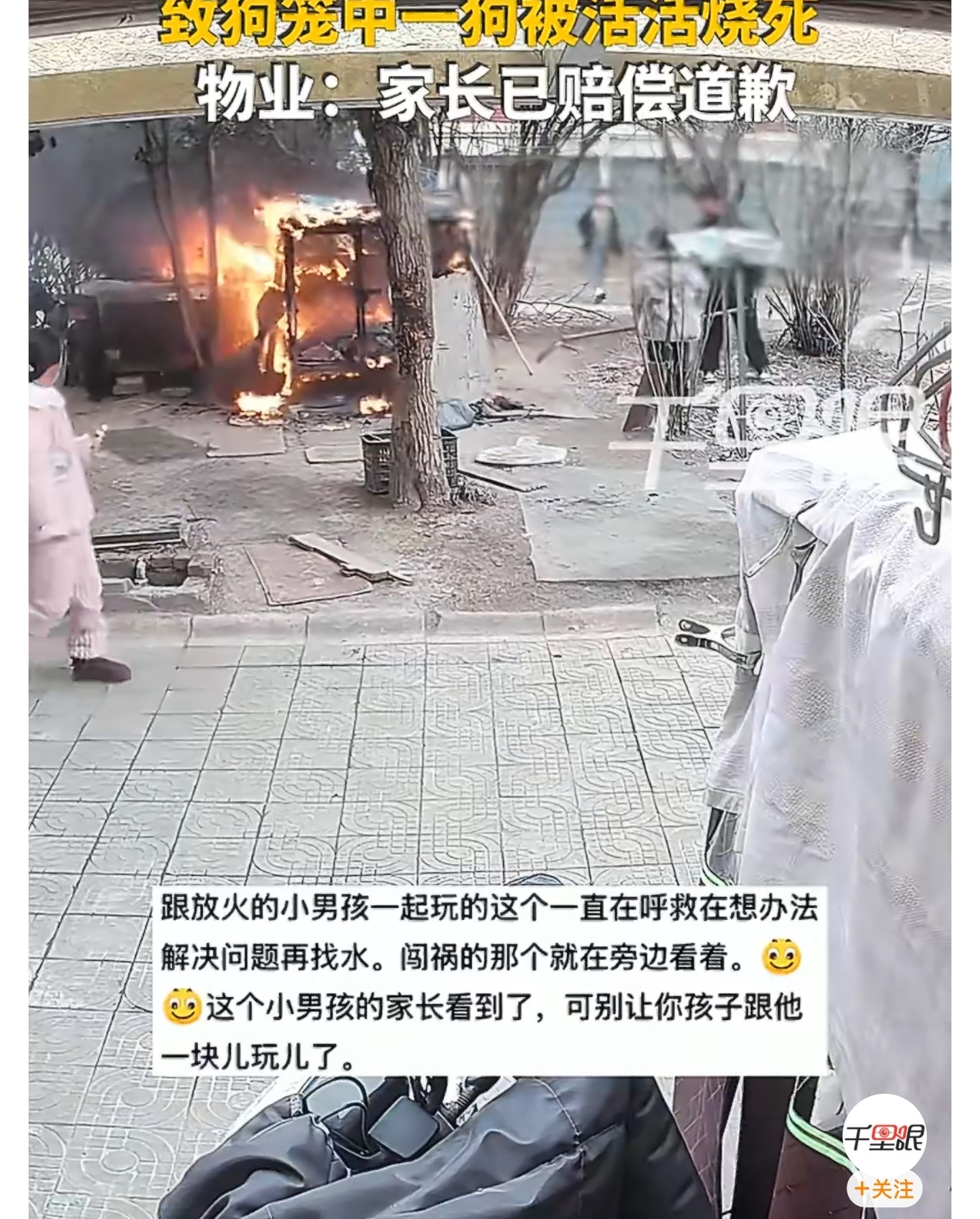 多方回应小孩小区玩火烧死笼中狗管不好就别生！生的什么出来，这么好的狗狗被活活烧死