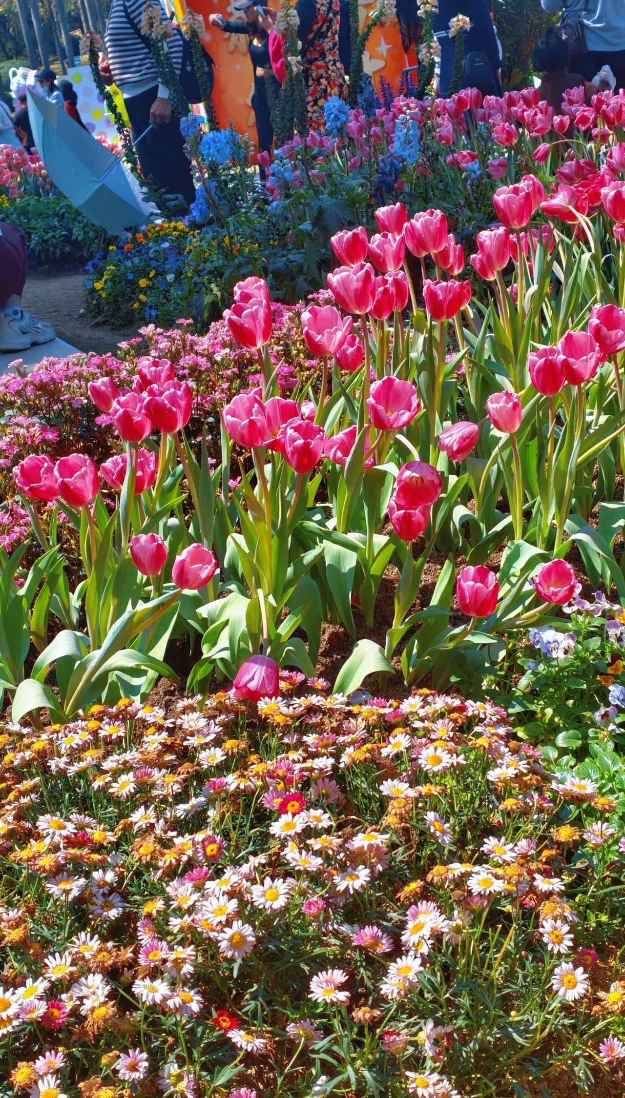 🌷 云台花园｜把春天的浪漫装进相机里 
📍广州 云台花园
广州的春天，是被云