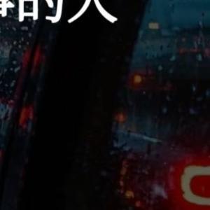 情感语录 曾经的年少莽撞、青春岁月里的求而不得、生活中的百般滋味，都凝聚成了心照