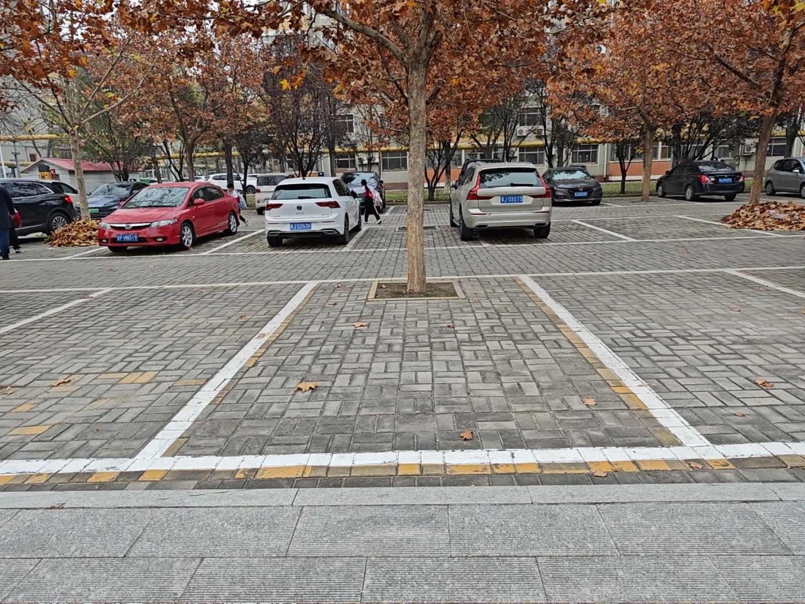 树底下长出来了一个车位呀。。。 