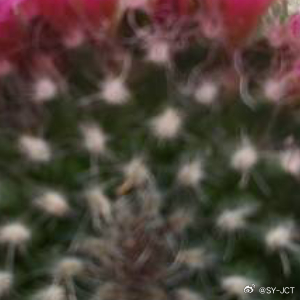 每日一善每日一善生命中的任何感动都是岁月的馈赠。是你以赤子之情善待了这个世界这个