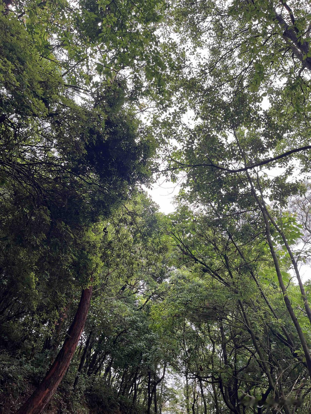 资治通鉴：只要你不回应，所有的恶意，

都不会伤害你

我以前有个朋友，心特别细