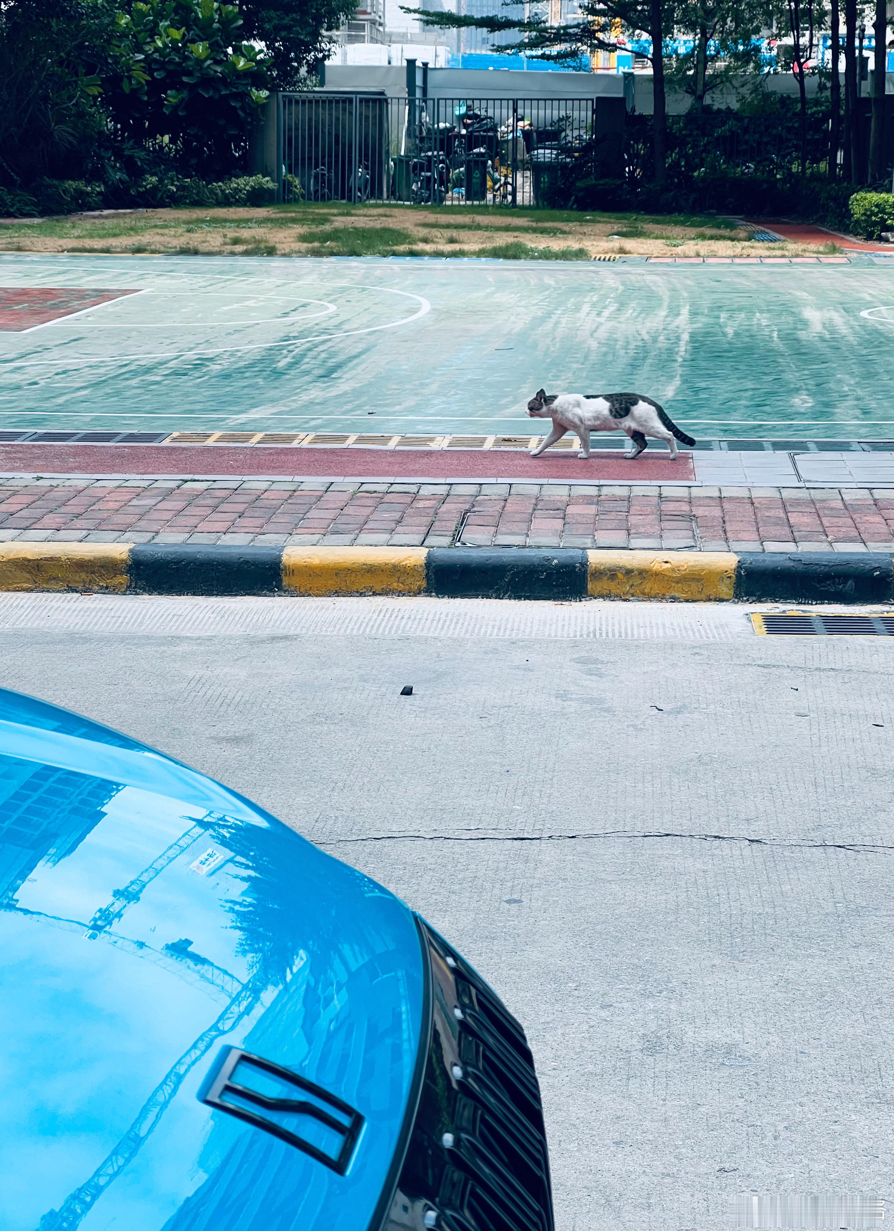 走路带风，自有气场。大v聊车 ​​​