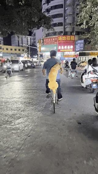 从狗子的稳如老狗的坐姿来看，它应该没少这样坐。