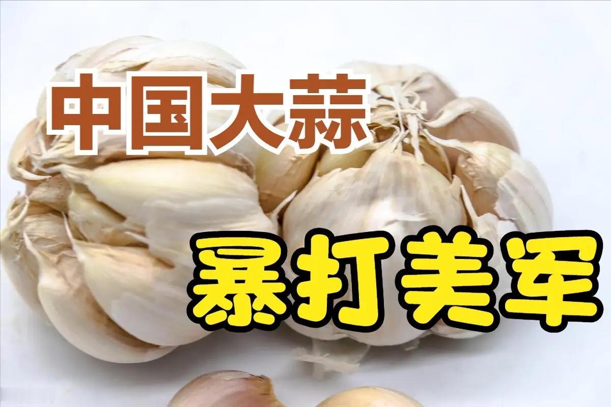 荒唐！中国大蒜竟成美国"国家安全威胁"，背后真相太扎心

驻美大使谢锋一句话戳破