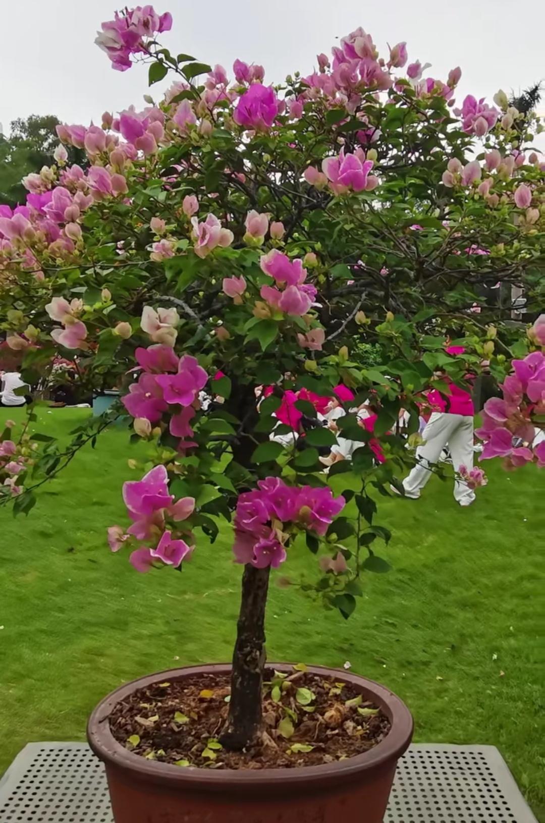 如果说人生真有起跑线，那出生才是真的红线。

我经常见到工业区门口许多几岁大的孩