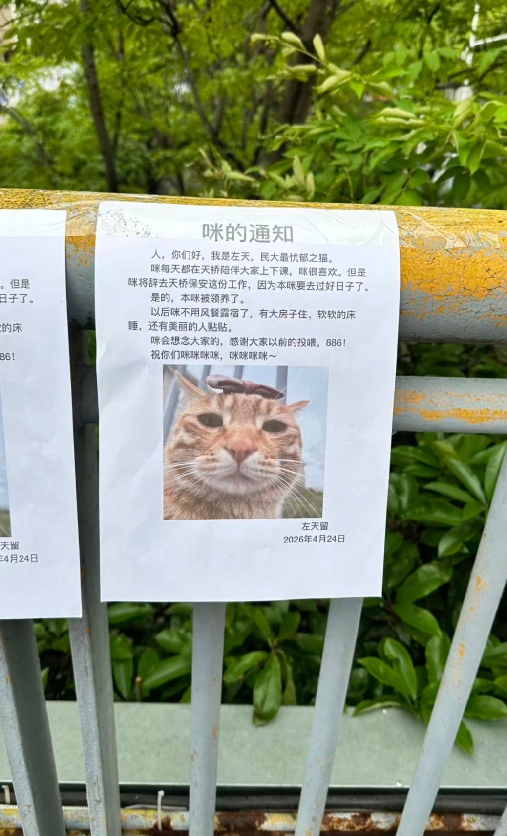 这大概是所有养宠人都乐意看到的一个通知 ​​​
