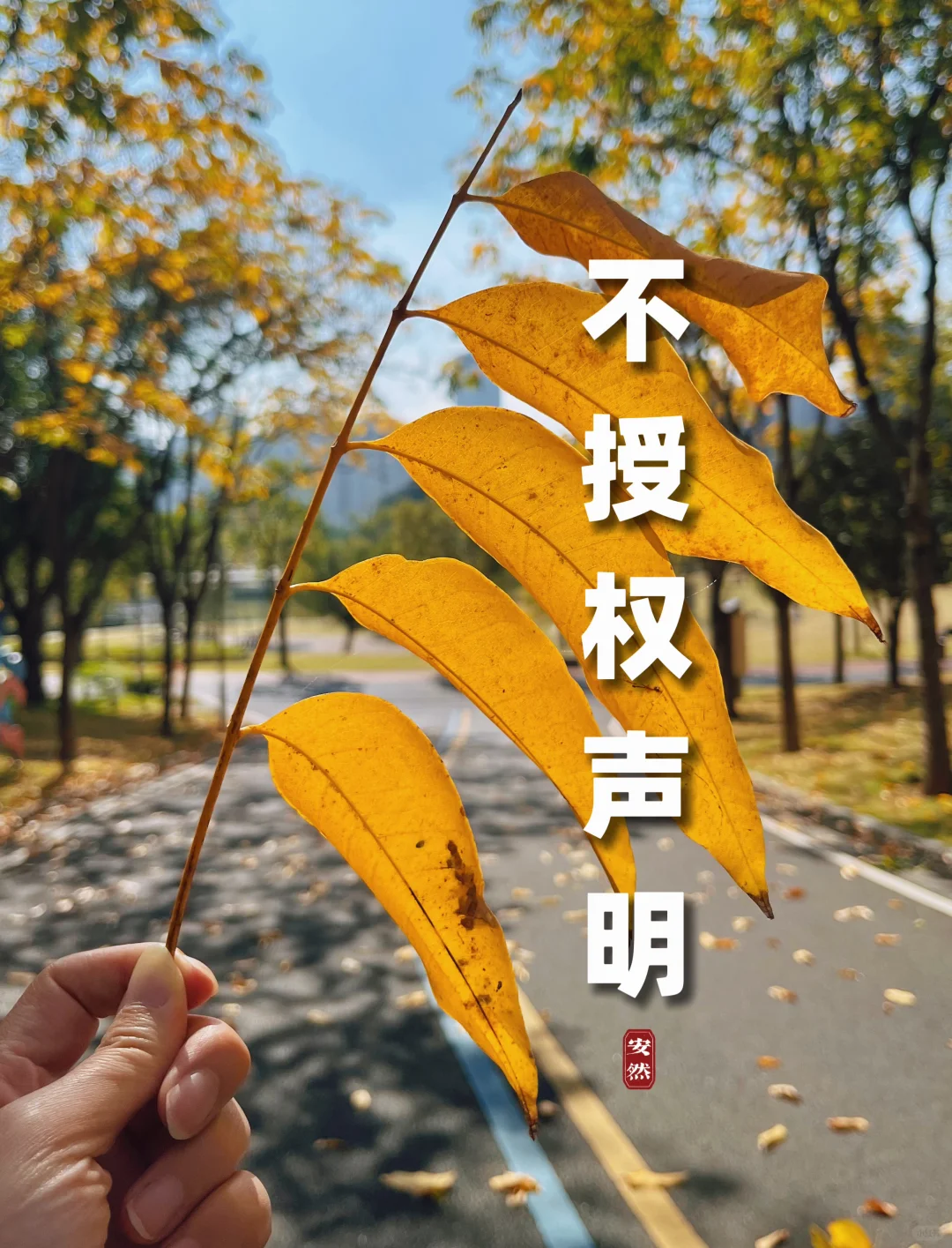不授权声明