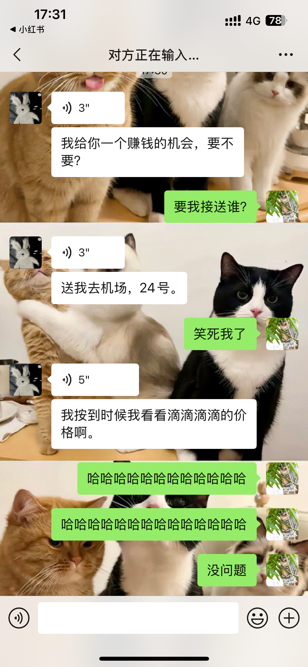 其实我有很多赚钱的技能但因为我是比亚迪车主 所以在我朋友们的眼里 给我赚钱的机会