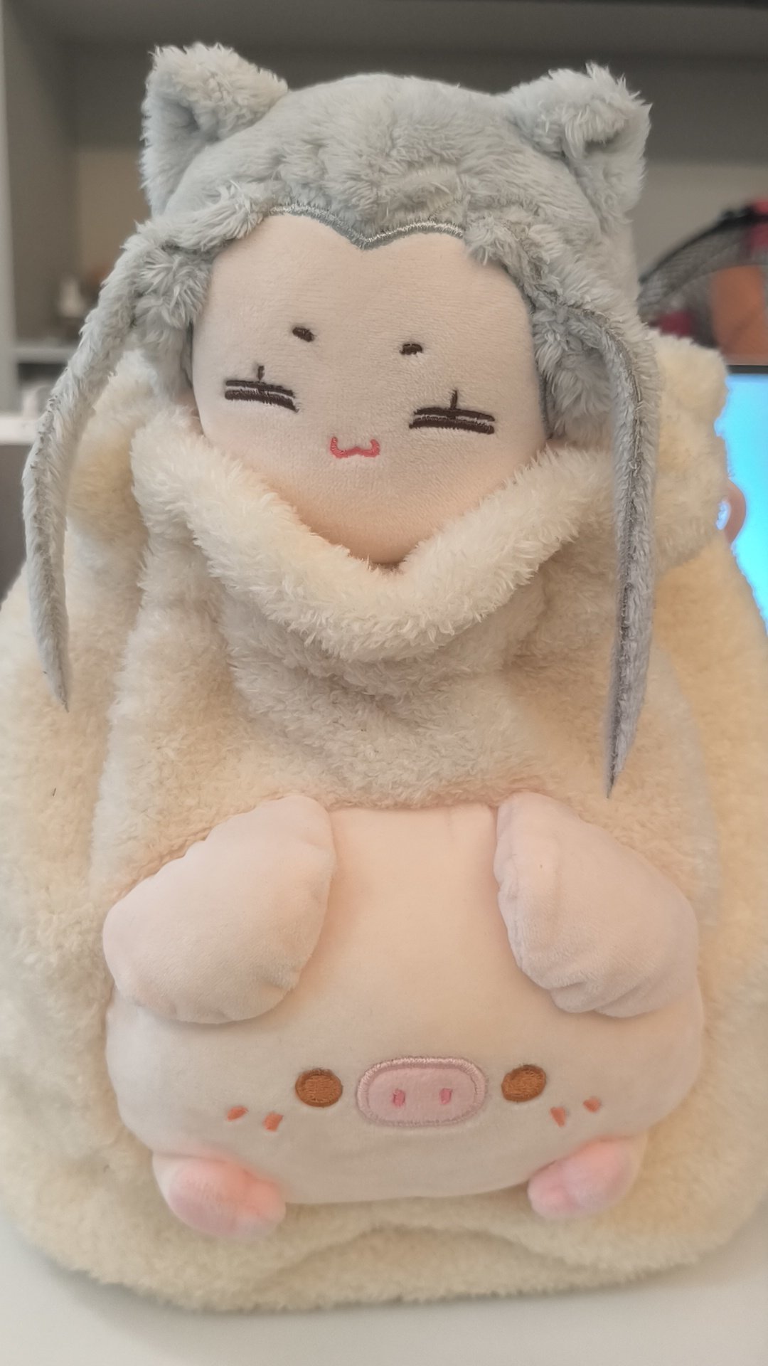 守护全世界最人美心善的面面 把闲置的猪猪包翻出来了，里面塞那一堆娃衣，上面放面面