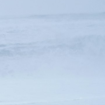 每日一善 阳光信用 “生活就像一盒巧克力，你永远不知道下一颗是什么味道。” 面对