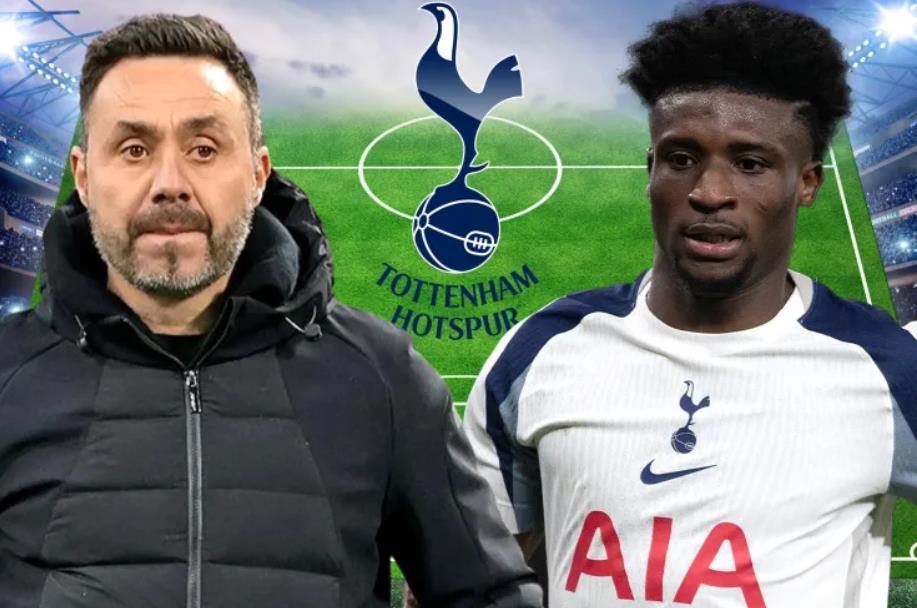 德泽尔比来了热刺的话，首要任务就是要带队保级。比图多尔运气好的是，德泽尔比会迎来