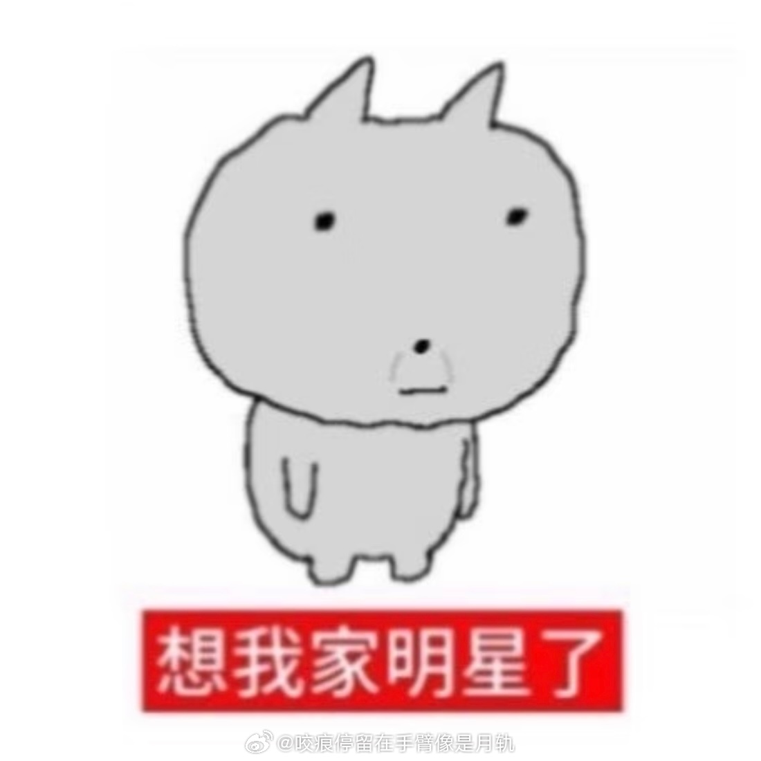 我家明星你到底在哪… ​​​