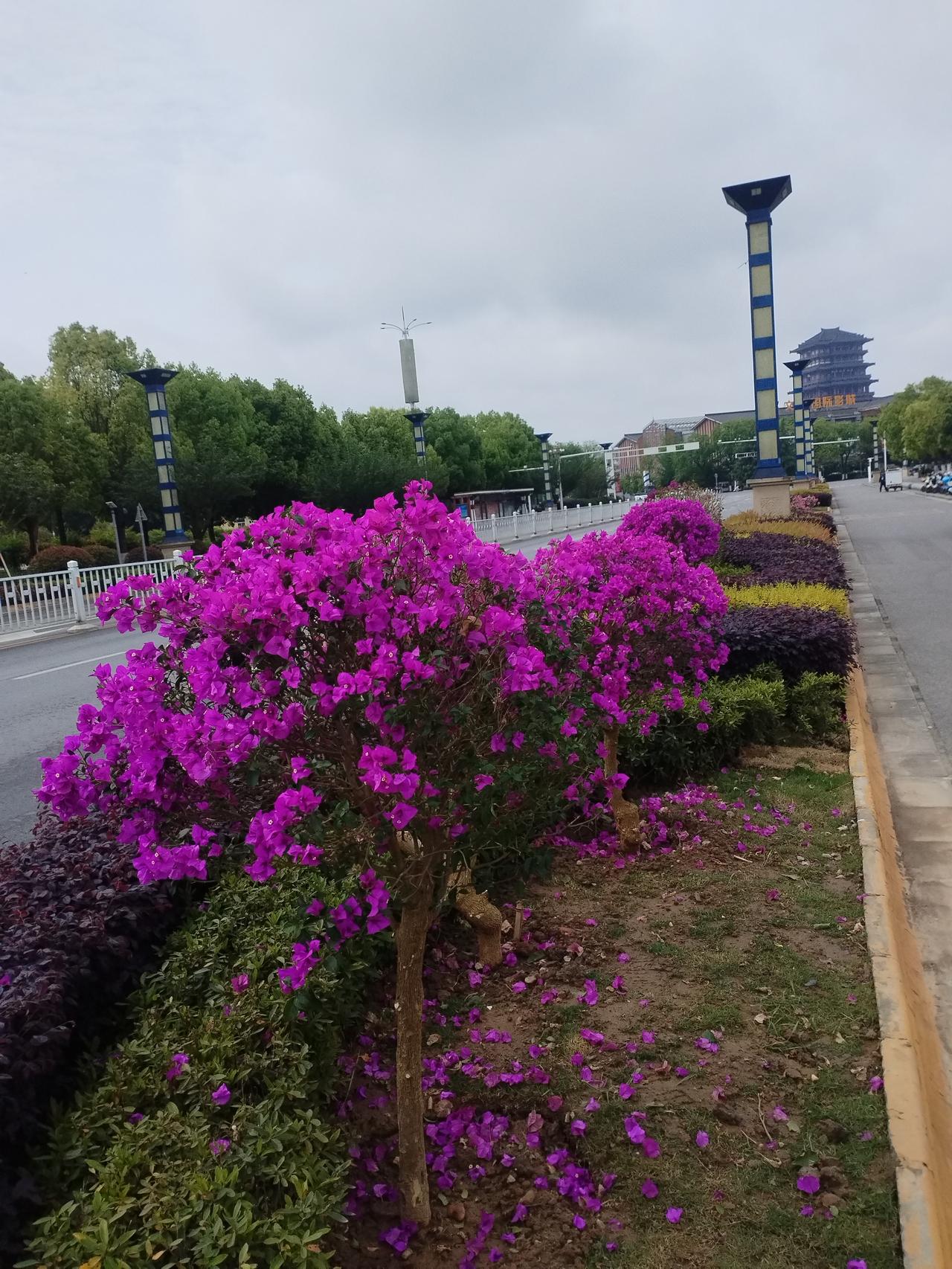 上联是“张灯结彩送旧岁”，描绘了过年时家家户户张灯结彩、欢庆辞旧迎新的热闹景象。