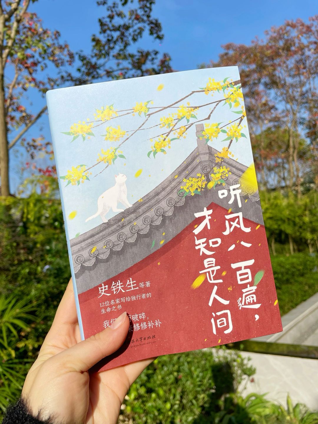 史铁生｜泪崩散文合集😭可把我哭惨了！