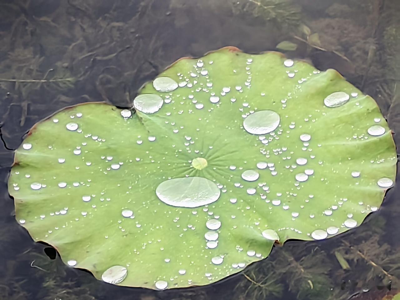 友友们，咱们退休后，看淡人情往来，不是薄情，是回归本心。

人生一路走来，身边的