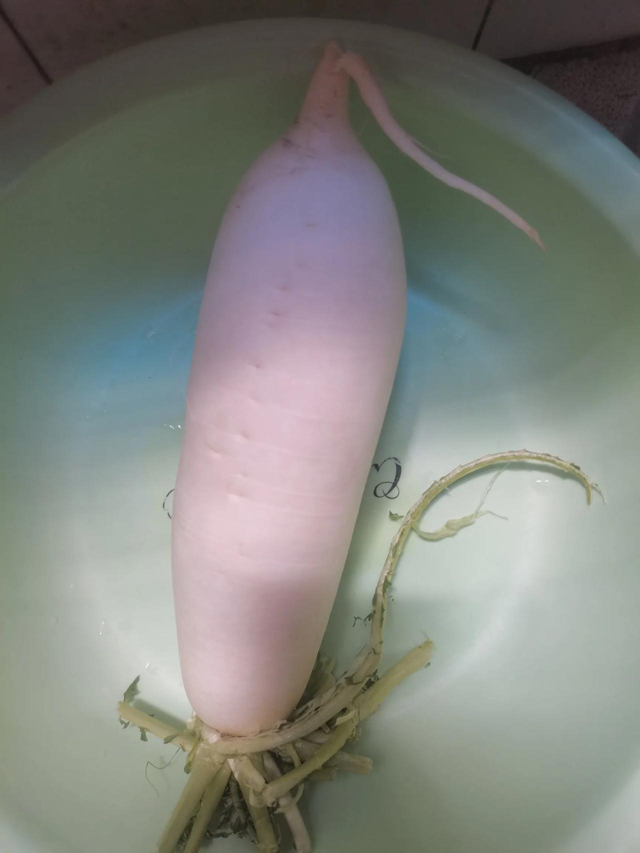 昆明的天气云南的气候都是相对来说比较好，但是这个菜价（蔬菜价格也太夸张了吧）！昨