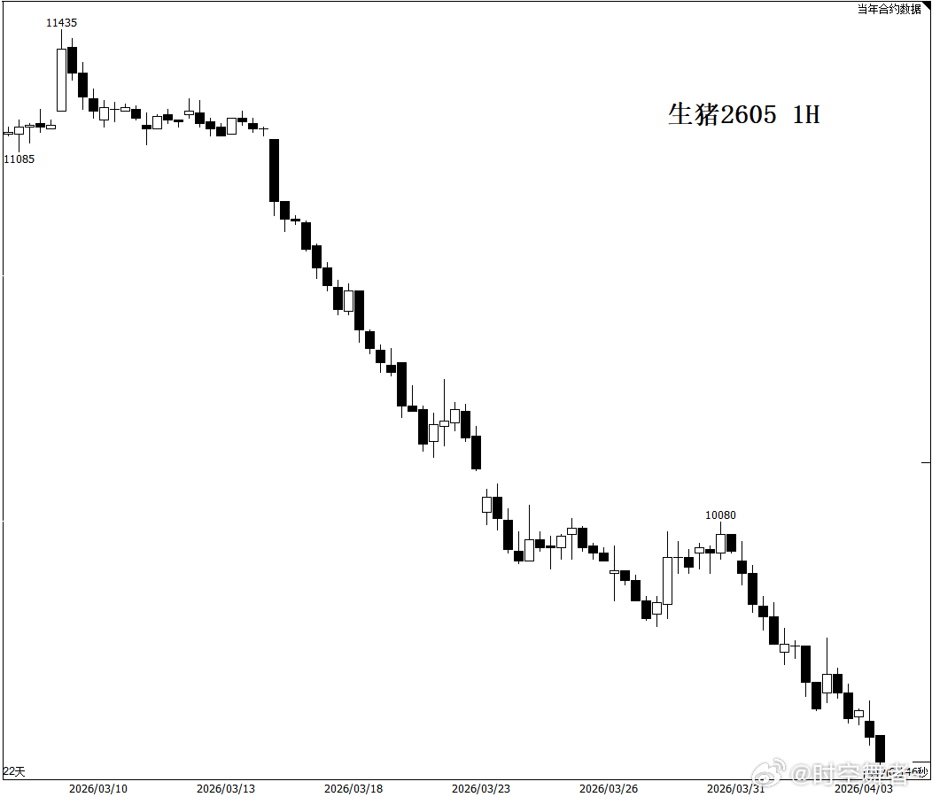 这生猪，有力气。这走势让我想到了21年的动力煤，越是开会，喊话干扰，越是反向走的