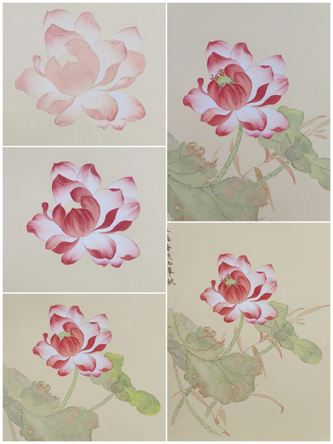 没骨画‖留得残荷听雨声