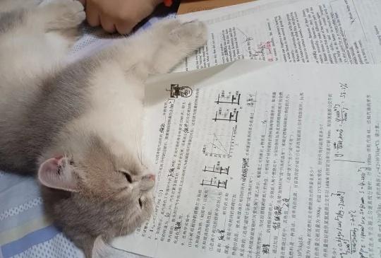 中考问题
互帮互助的来啊
​家里有没有初中学生啊[抠鼻][抠鼻]
​威海除外哈[