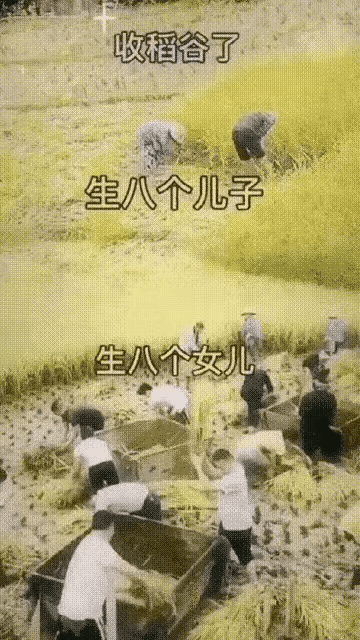 据说这是生八个儿子 和生八个女儿的区别，也不知道对不对[捂脸][捂脸]
图二，摊