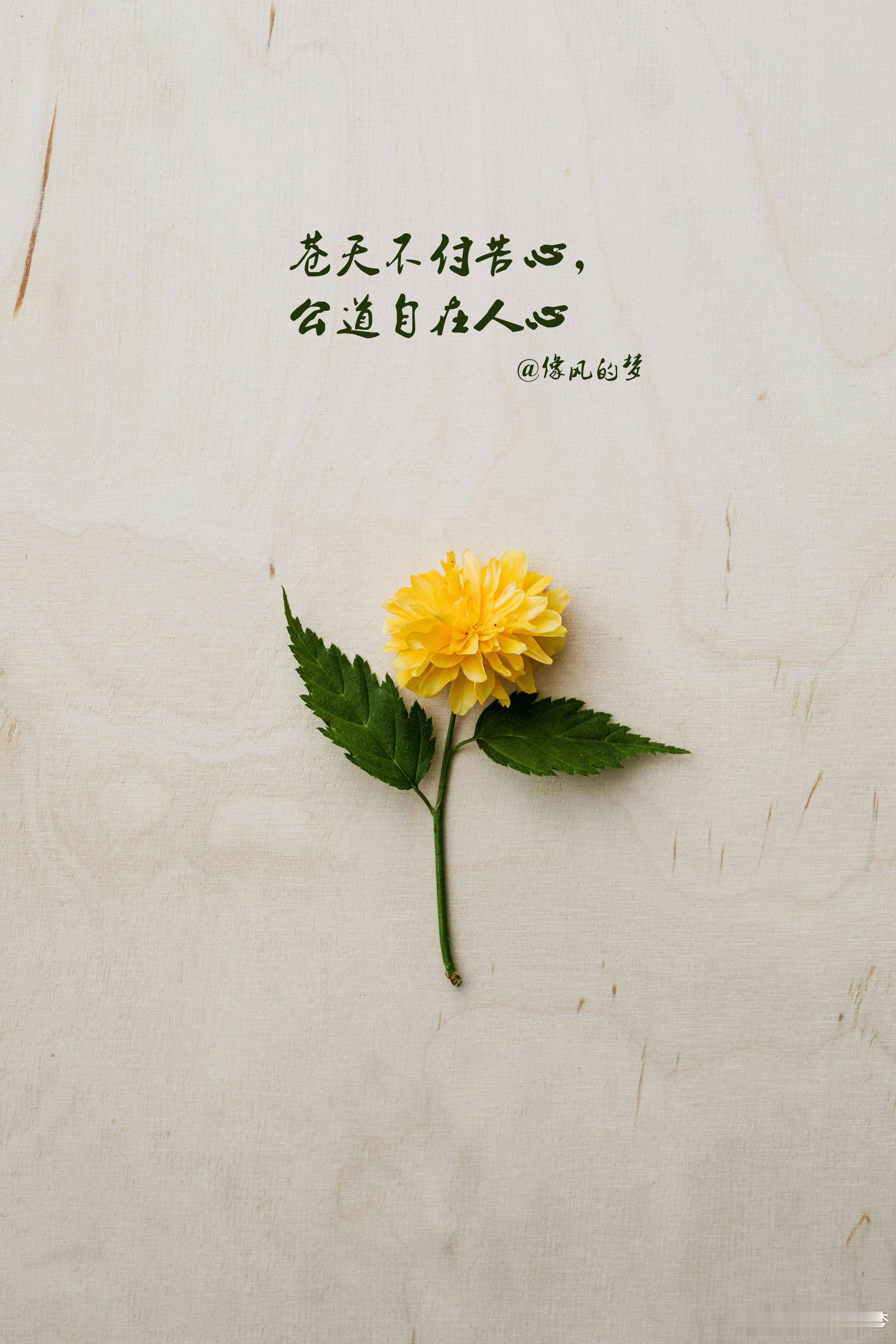 #感悟[超话]# 1.得到的瞬间，看似在拥有，实则在亏空，期待没了，盼望没了，思