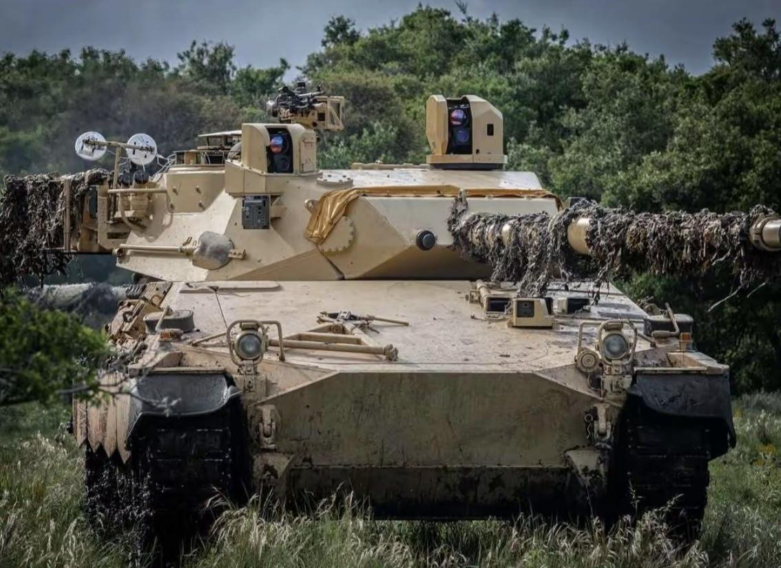 阿根廷陆军装备的 TAM 2C-A2 轻型坦克