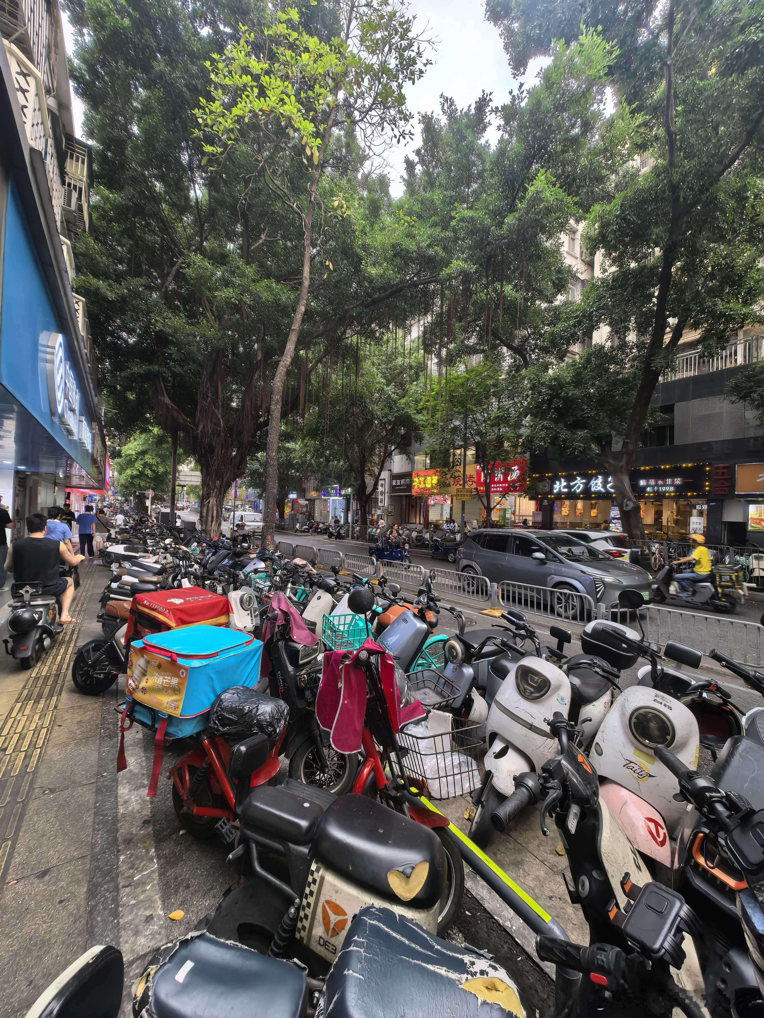 电鸡之城：深圳，差不多每3个人就拥有一台电鸡，电鸡把城市弄得不成样子，才开始治理