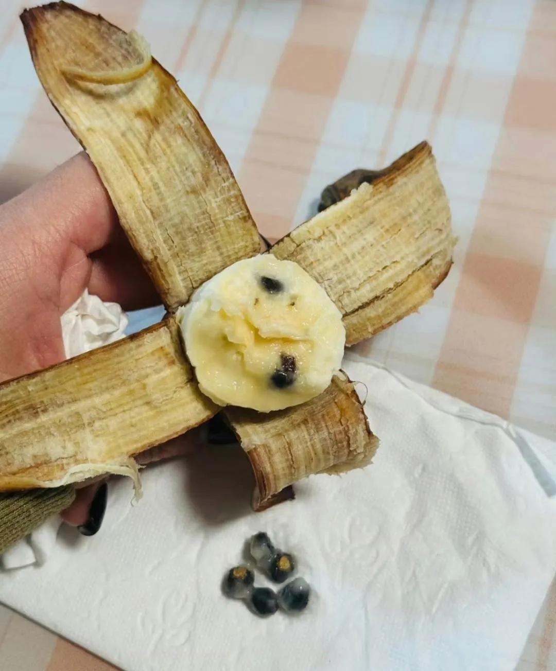 第一次见到带籽的香蕉，种下去能长成香蕉树吗？